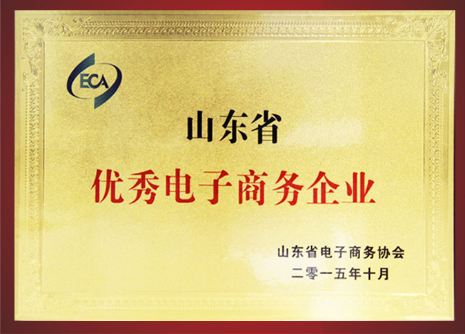 山東省優秀電子商務企業